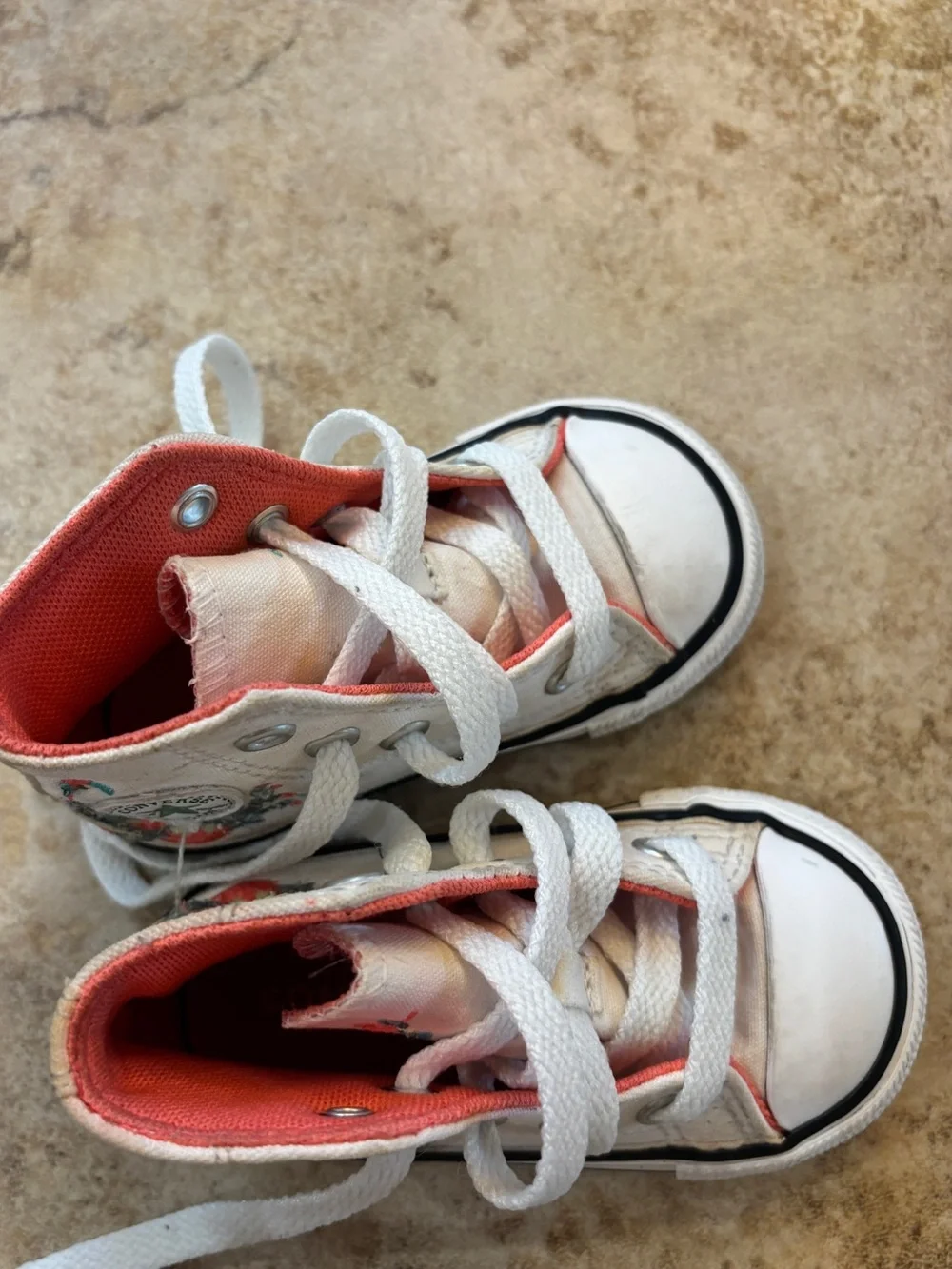 Converse Chuck Taylor All Star Hi Succulents Sneaker Vintage White
